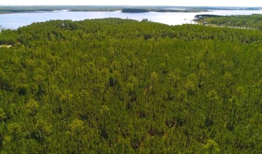 Photo of SOLD!!  40 Acres of Waterfront Residential and Timber Land For Sale in Beaufort County NC!