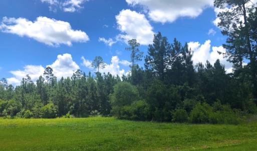 Photo of SOLD!!  40 Acres of Waterfront Residential and Timber Land For Sale in Beaufort County NC!
