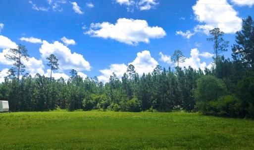 Photo of SOLD!!  40 Acres of Waterfront Residential and Timber Land For Sale in Beaufort County NC!