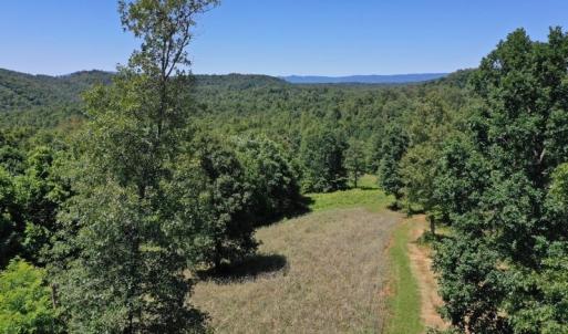 Photo of SOLD!!  373 Acres of Residential Hunting and Recreational Land For Sale in Franklin County VA!