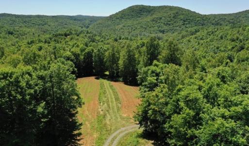 Photo of SOLD!!  373 Acres of Residential Hunting and Recreational Land For Sale in Franklin County VA!