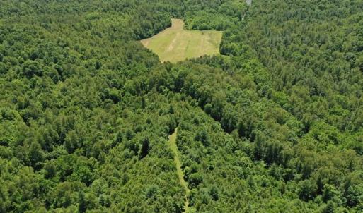 Photo of SOLD!!  373 Acres of Residential Hunting and Recreational Land For Sale in Franklin County VA!