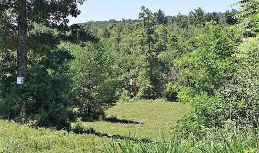 Photo of SOLD!!  373 Acres of Residential Hunting and Recreational Land For Sale in Franklin County VA!