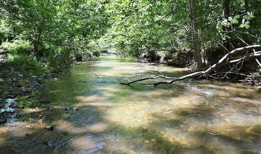 Photo of SOLD!!  373 Acres of Residential Hunting and Recreational Land For Sale in Franklin County VA!