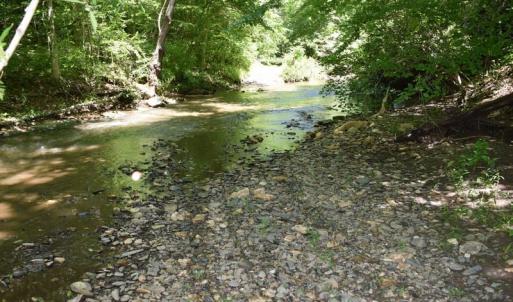 Photo of SOLD!!  373 Acres of Residential Hunting and Recreational Land For Sale in Franklin County VA!