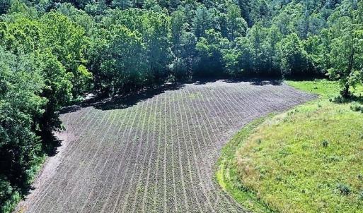 Photo of SOLD!!  373 Acres of Residential Hunting and Recreational Land For Sale in Franklin County VA!