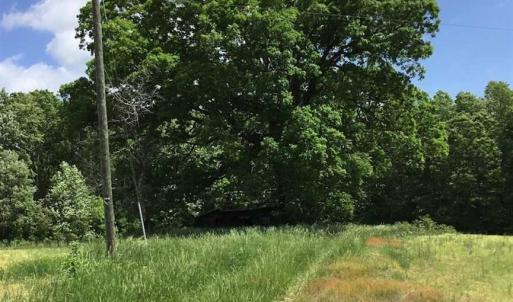 Photo of REDUCED!  144 Acres of Hunting and Farm Land For Sale in Halifax County VA!