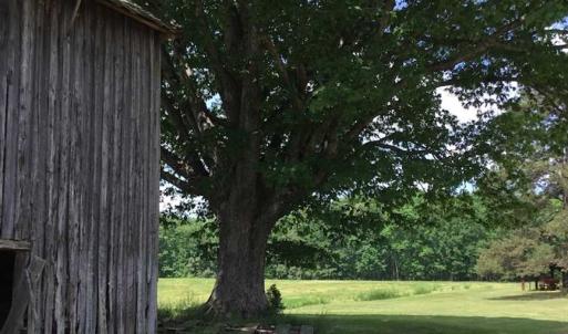 Photo of REDUCED!  144 Acres of Hunting and Farm Land For Sale in Halifax County VA!