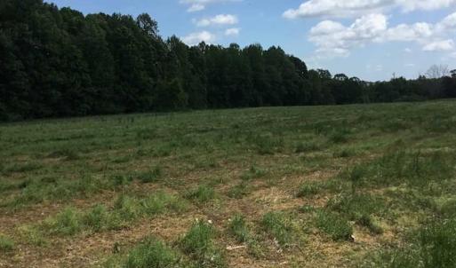 Photo of REDUCED!  144 Acres of Hunting and Farm Land For Sale in Halifax County VA!