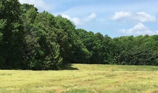 Photo of REDUCED!  144 Acres of Hunting and Farm Land For Sale in Halifax County VA!