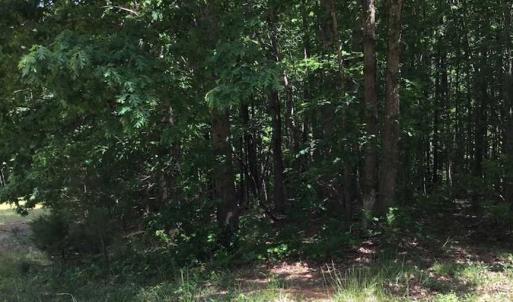 Photo of REDUCED!  144 Acres of Hunting and Farm Land For Sale in Halifax County VA!
