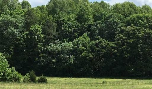 Photo of REDUCED!  144 Acres of Hunting and Farm Land For Sale in Halifax County VA!