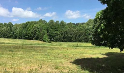 Photo of REDUCED!  144 Acres of Hunting and Farm Land For Sale in Halifax County VA!