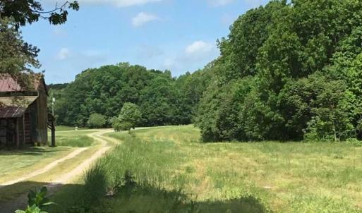 Photo of REDUCED!  144 Acres of Hunting and Farm Land For Sale in Halifax County VA!