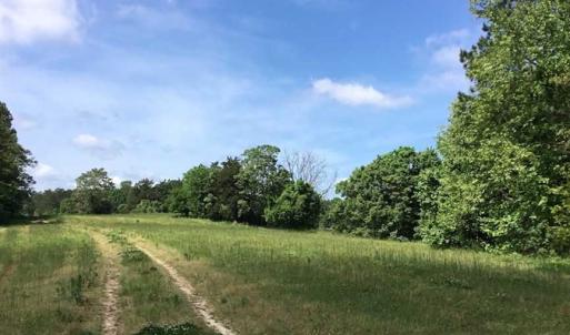 Photo of REDUCED!  144 Acres of Hunting and Farm Land For Sale in Halifax County VA!