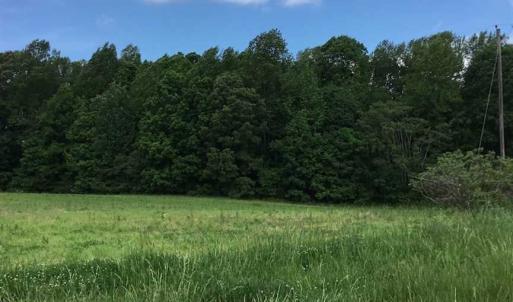 Photo of REDUCED!  144 Acres of Hunting and Farm Land For Sale in Halifax County VA!