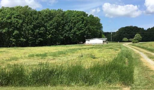 Photo of REDUCED!  144 Acres of Hunting and Farm Land For Sale in Halifax County VA!