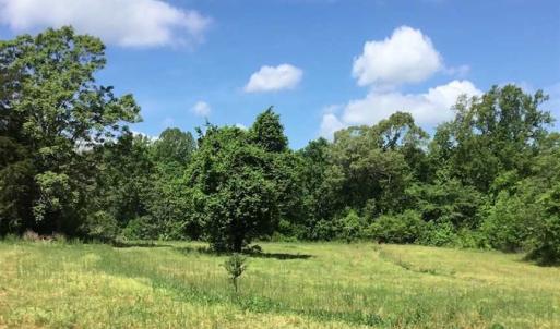 Photo of REDUCED!  144 Acres of Hunting and Farm Land For Sale in Halifax County VA!