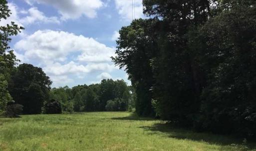 Photo of REDUCED!  144 Acres of Hunting and Farm Land For Sale in Halifax County VA!