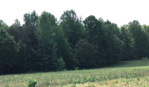 Photo of REDUCED!  144 Acres of Hunting and Farm Land For Sale in Halifax County VA!