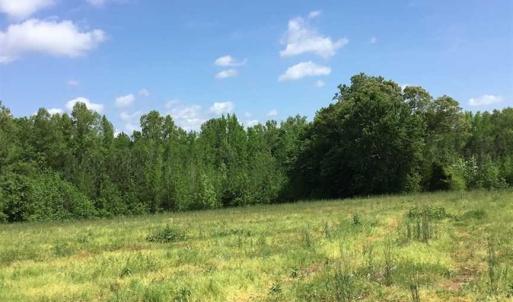 Photo of REDUCED!  144 Acres of Hunting and Farm Land For Sale in Halifax County VA!