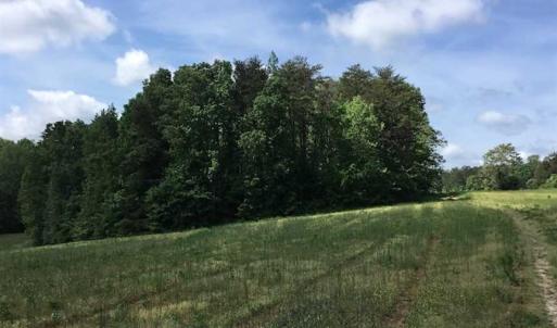 Photo of REDUCED!  144 Acres of Hunting and Farm Land For Sale in Halifax County VA!