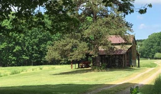Photo of REDUCED!  144 Acres of Hunting and Farm Land For Sale in Halifax County VA!