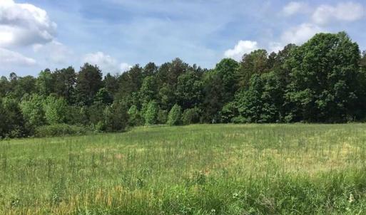 Photo of REDUCED!  144 Acres of Hunting and Farm Land For Sale in Halifax County VA!