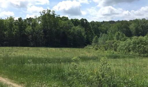 Photo of REDUCED!  144 Acres of Hunting and Farm Land For Sale in Halifax County VA!