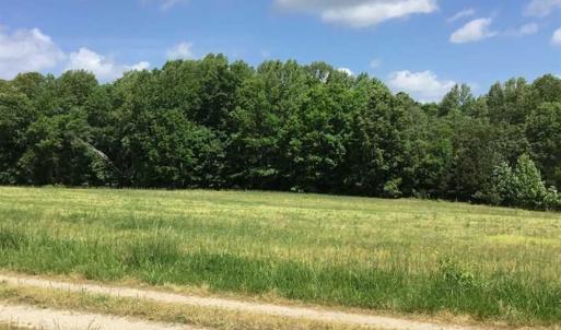 Photo of REDUCED!  144 Acres of Hunting and Farm Land For Sale in Halifax County VA!
