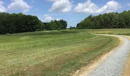 Photo of REDUCED!  144 Acres of Hunting and Farm Land For Sale in Halifax County VA!