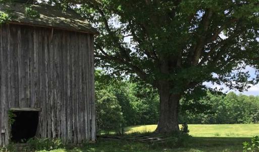 Photo of REDUCED!  144 Acres of Hunting and Farm Land For Sale in Halifax County VA!