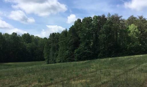 Photo of REDUCED!  144 Acres of Hunting and Farm Land For Sale in Halifax County VA!