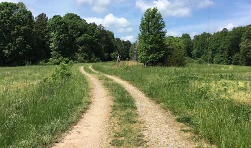 Photo of REDUCED!  144 Acres of Hunting and Farm Land For Sale in Halifax County VA!