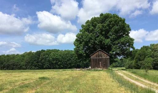 Photo of REDUCED!  144 Acres of Hunting and Farm Land For Sale in Halifax County VA!