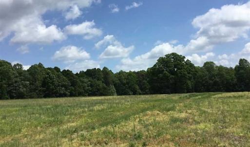 Photo of REDUCED!  144 Acres of Hunting and Farm Land For Sale in Halifax County VA!