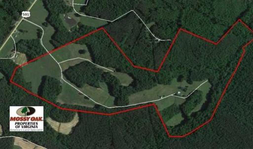 Photo of REDUCED!  144 Acres of Hunting and Farm Land For Sale in Halifax County VA!