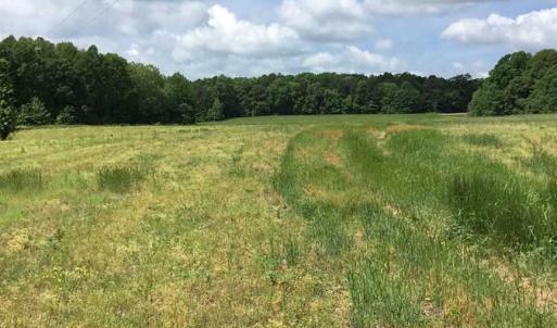 Photo of REDUCED!  144 Acres of Hunting and Farm Land For Sale in Halifax County VA!
