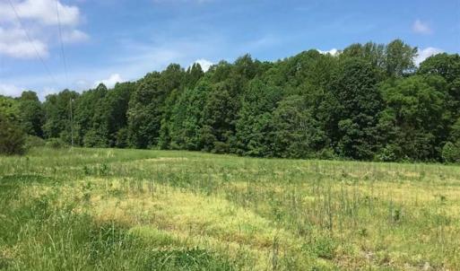 Photo of REDUCED!  144 Acres of Hunting and Farm Land For Sale in Halifax County VA!