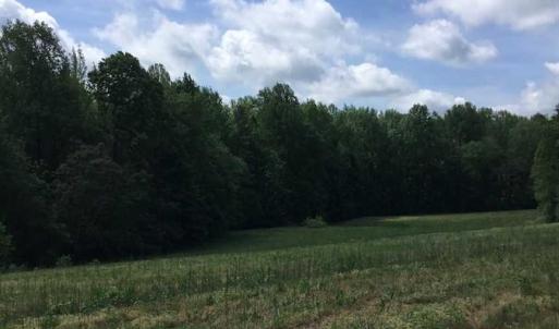 Photo of REDUCED!  144 Acres of Hunting and Farm Land For Sale in Halifax County VA!