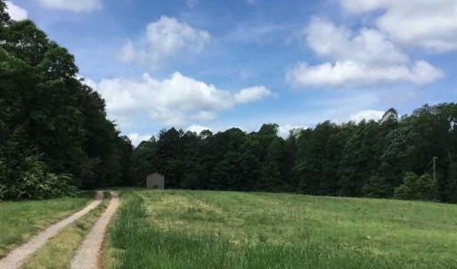 Photo of REDUCED!  144 Acres of Hunting and Farm Land For Sale in Halifax County VA!