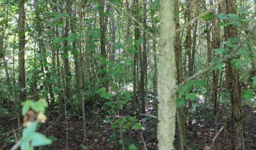 Photo of REDUCED!  10 Acres of Residential and Recreational Land For Sale in Isle of Wight County VA!