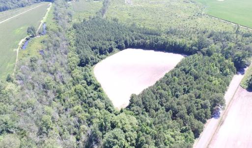 Photo of UNDER CONTRACT!  15 Acres of Farm and Hunting Land For Sale in Isle of Wight County Virginia!