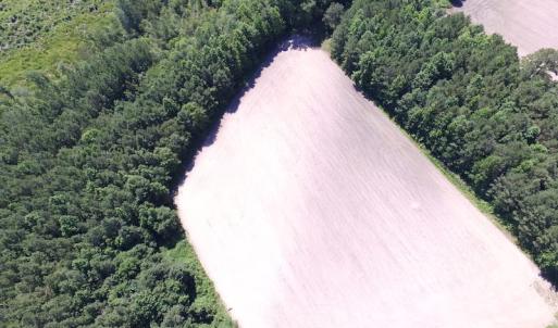 Photo of UNDER CONTRACT!  15 Acres of Farm and Hunting Land For Sale in Isle of Wight County Virginia!