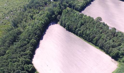 Photo of UNDER CONTRACT!  15 Acres of Farm and Hunting Land For Sale in Isle of Wight County Virginia!