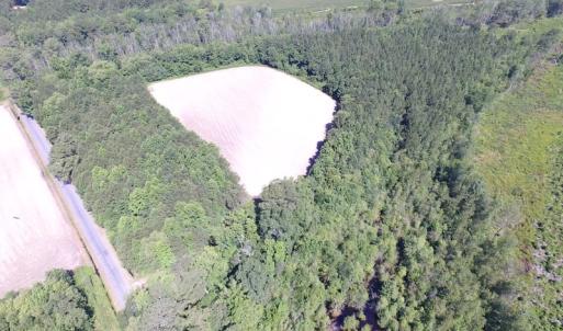 Photo of UNDER CONTRACT!  15 Acres of Farm and Hunting Land For Sale in Isle of Wight County Virginia!