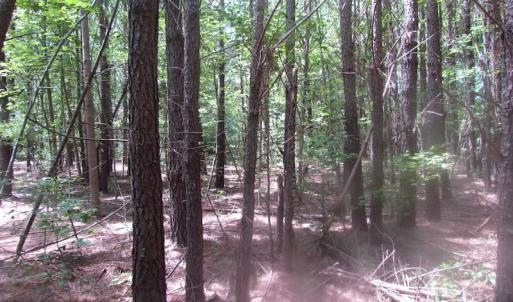 Photo of UNDER CONTRACT!  15 Acres of Farm and Hunting Land For Sale in Isle of Wight County Virginia!