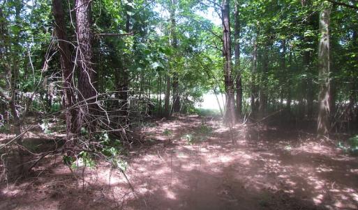 Photo of UNDER CONTRACT!  15 Acres of Farm and Hunting Land For Sale in Isle of Wight County Virginia!
