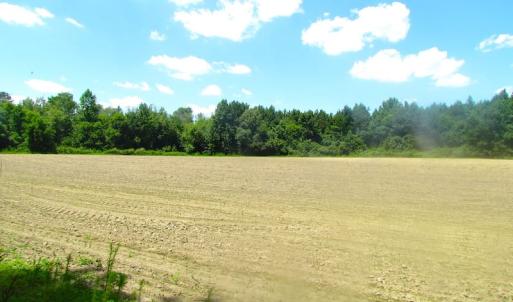 Photo of UNDER CONTRACT!  15 Acres of Farm and Hunting Land For Sale in Isle of Wight County Virginia!