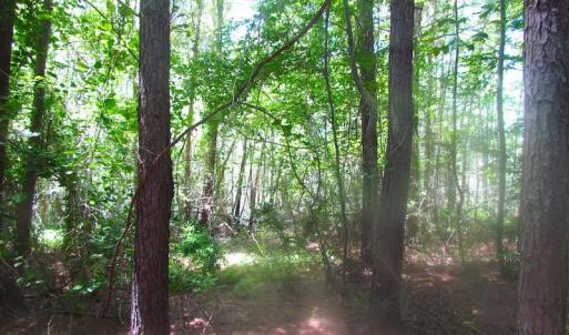 Photo of UNDER CONTRACT!  15 Acres of Farm and Hunting Land For Sale in Isle of Wight County Virginia!